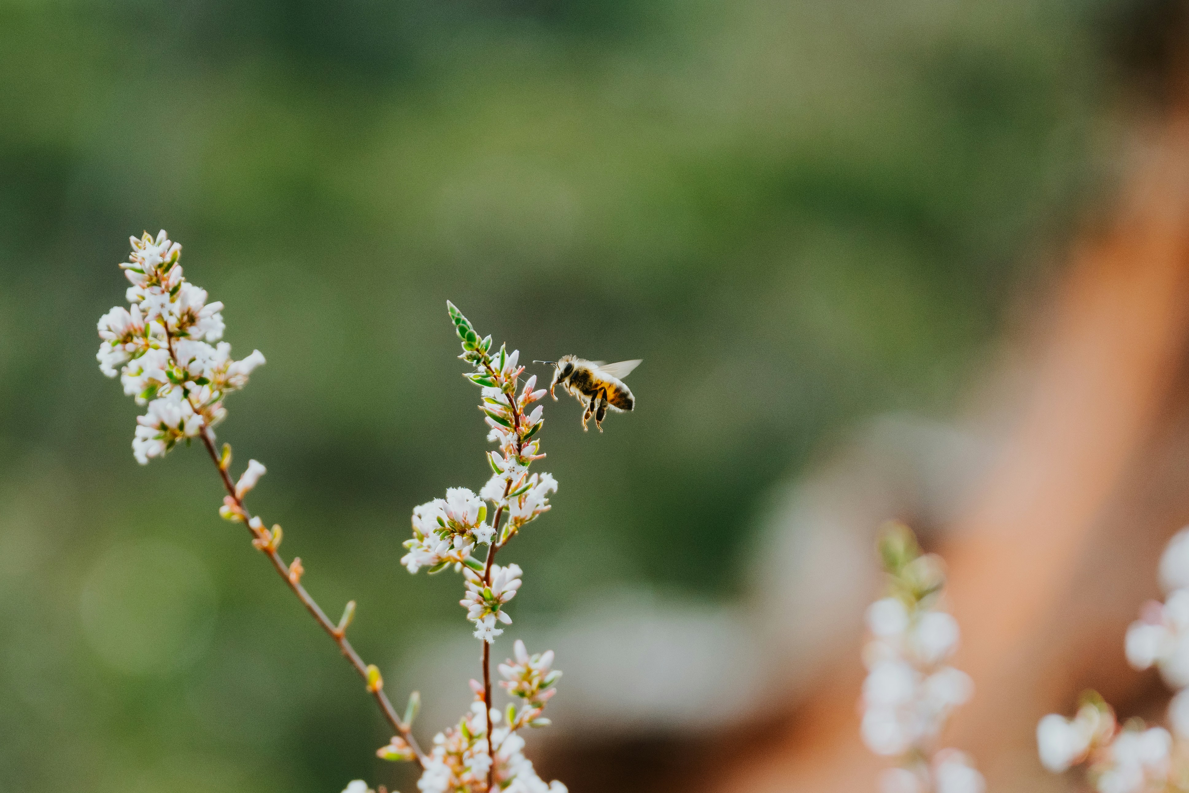 ryan-cuerden-dKO18JJkw_I-unsplash
